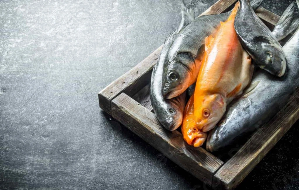 fish - Сертификация качества рыбы и рыбной продукции